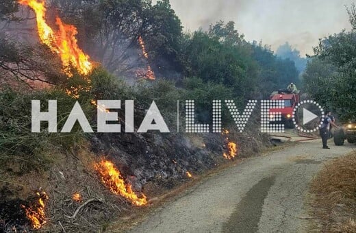 Φωτιά τώρα στη Ζαχάρω Ηλείας: Καίγεται αγροτοδασική έκταση στο Ξηροχώρι