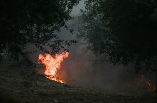 Φωτιά τώρα στην Ηλεία: Μήνυμα του 112 