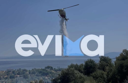 Εύβοια: Υπό έλεγχο το μέτωπο της φωτιάς - Οι φλόγες έφτασαν κοντά σε σπίτια