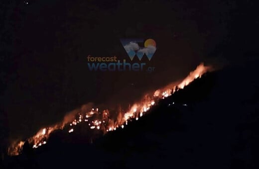 Γρεβενά: Μαίνεται η φωτιά στη Βάλια Κάλντα - Ισχυροί άνεμοι στην περιοχή