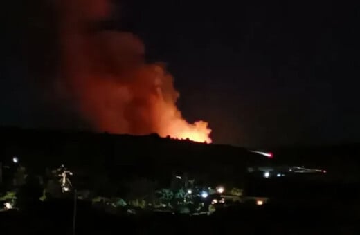Σαλαμίνα: Η φωτιά καίει κοντά σε σπίτια - Ήχησε το 112 στην περιοχή