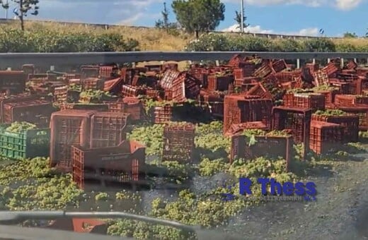 ΣΤΑΦΥΛΙΑ ΤΡΟΧΑΙΟ ΘΕΣΣΑΛΟΝΙΚΗ
