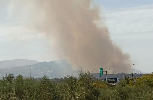 Αχαΐα: Μαίνεται η μεγάλη φωτιά στο Άλσος - Εκκενώνονται Μερτίδι και Λάκκα