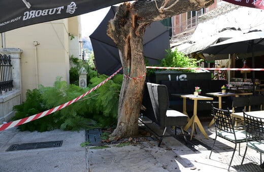 Η ανακοίνωση του Δήμου Αθηναίων για τον τραυματισμό δύο πολιτών από τις πτώσεις δέντρων