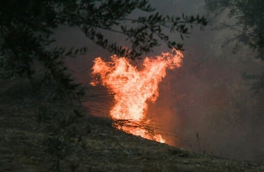 Φωτιά στην Αργολίδα: Μήνυμα του 112 για εκκένωση 