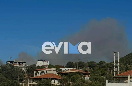 Φωτιά τώρα στην Εύβοια: Κοντά σε σπίτια οι φλόγες 