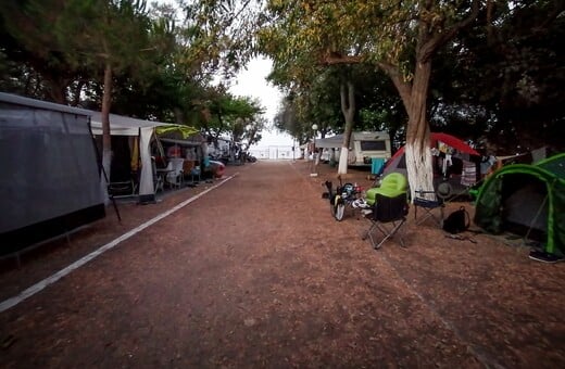 ΦΟΙΝΙΚΟΥΝΤΑ ΔΟΛΟΦΟΝΙΑ ΚΑΜΠΙΝΓΚ