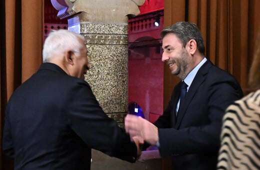 Νίκος Ανδρουλάκης: «Δεν νοείται συμμετοχή της Τουρκίας στο SAFE»