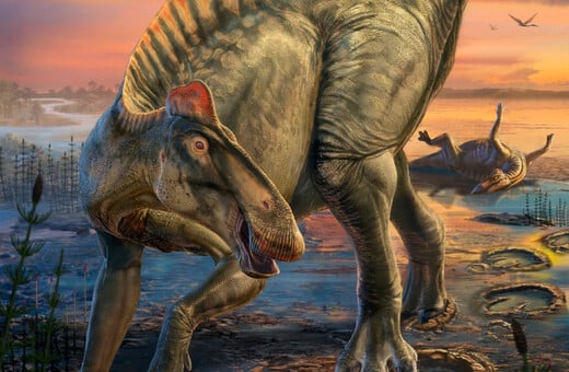 Σπάνιες «μούμιες» δεινοσαύρων φωτίζουν πώς έμοιαζαν και πώς ζούσαν