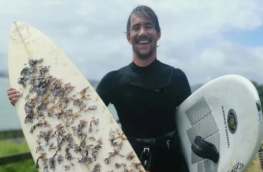 Από την Τασμανία στη Νέα Ζηλανδία σε 18 μήνες: Η σανίδα του σερφ που διέπλευσε τον ωκεανό