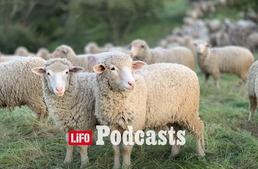 «Ο φραπές, ο χασάπης και η Πόπη με τη Φεράρι»: Γιατί κανείς δεν θέλει να γίνει αγρότης 