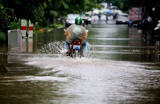 ΜΕΛΙΣΣΑ ΚΥΚΛΩΝΑΣ ΚΑΡΑΙΒΙΚΗ ΤΖΑΜΑΙΚΑ