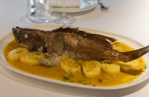 Όχι άλλη σφυρίδα! 