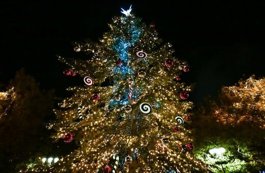 ΧΡΙΣΤΟΥΓΕΝΝΙΑΤΙΚΟ ΔΕΝΤΡΟ ΧΡΙΣΤΟΥΓΕΝΝΑ
