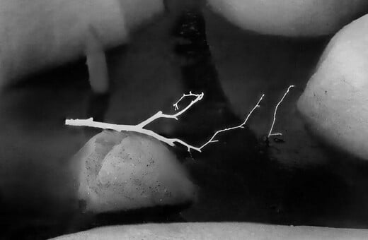 Η κλιματική κρίση μέσα από τον φακό θερμικής κάμερας του National Geographic