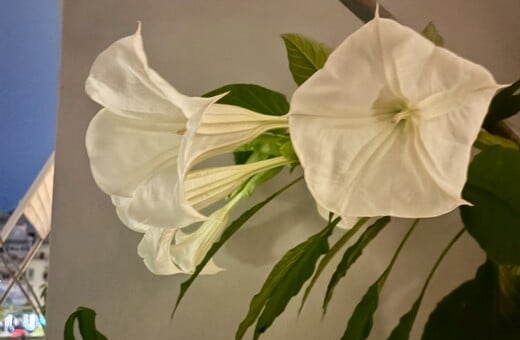 Ο χάρτης μου τώρα