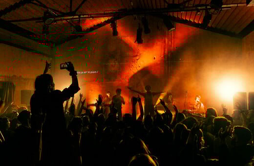 Αυτοοργάνωση, πολυμορφία και δημιουργία