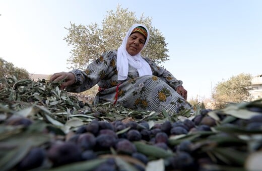 ΔΥΤΙΚΗ ΟΧΘΗ ΠΑΛΑΙΣΤΙΝΙΟΙ ΙΣΡΑΗΛ
