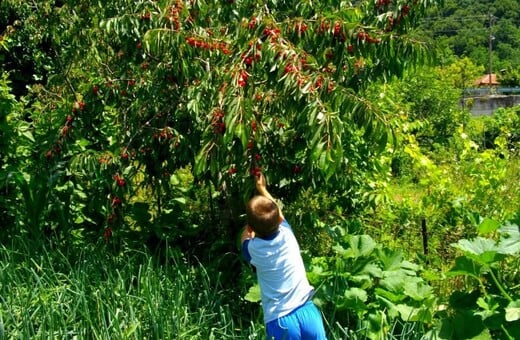 « Βγαίνω από το σπίτι μου το πρωί και πηγαίνω με ευχάριστη διάθεση στη δουλειά»