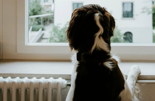 ΕΠΙΔΟΜΑ ΘΕΡΜΑΝΣΗ ΠΟΣΟ ΑΙΤΗΣΗ