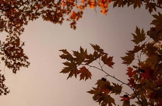 ΚΑΙΡΟΣ ΚΑΚΟΚΑΙΡΙΑ ΣΗΜΕΡΑ ΒΡΟΧΕΣ