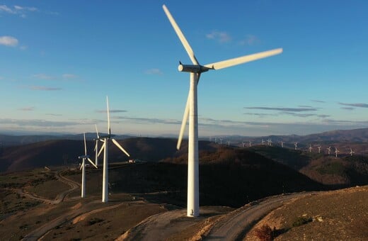 Πυρόπληκτος Έβρος, πράσινα σχέδια: H αιολική πίεση στα καμένα / Τα πράσινα σχέδια στον πυρόπληκτο Έβρο