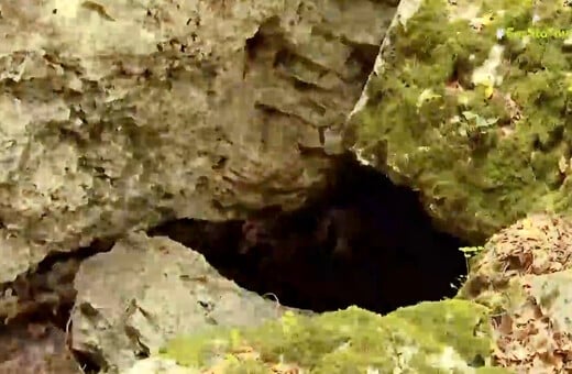 Εξαφάνιση Αμαλίας Νικολοπούλου: Η αποσύνθεση της σορού έγινε στη σπηλιά - Τα πρώτα ευρήματα των Αρχών