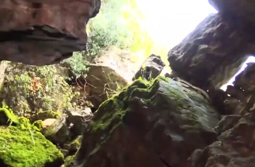 Εξαφάνιση Αμαλίας Νικολοπούλου: Ανατροπή στην υπόθεση - Βρέθηκε η σορός της μετά από 4 χρόνια