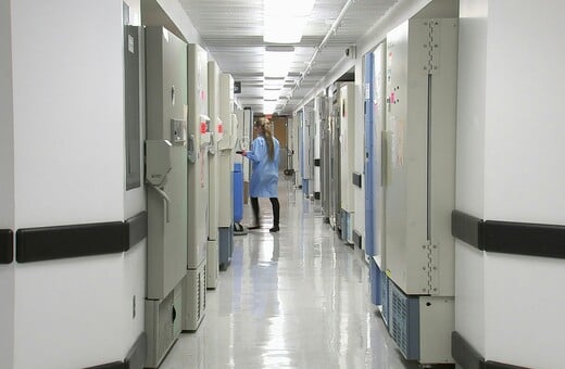 Έδεσσα: Σταθερή η κατάσταση του ζευγαριού που κατανάλωσε δηλητηριώδη μανιτάρια - «Τα μάζεψε ο πατέρας μου»