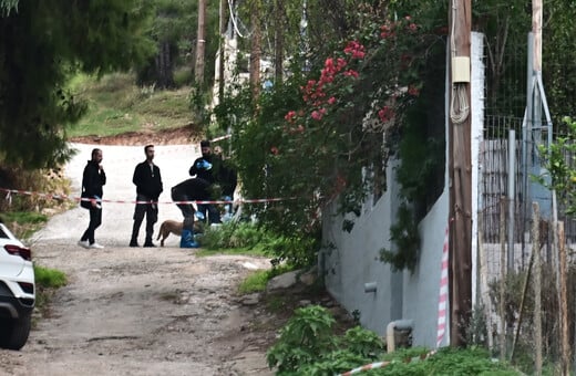 Δολοφονία στη Σαλαμίνα: «Φώναζε και φοβήθηκα ότι θα με αναγνωρίσει» - Τι ομολόγησε η νύφη της 75χρονης