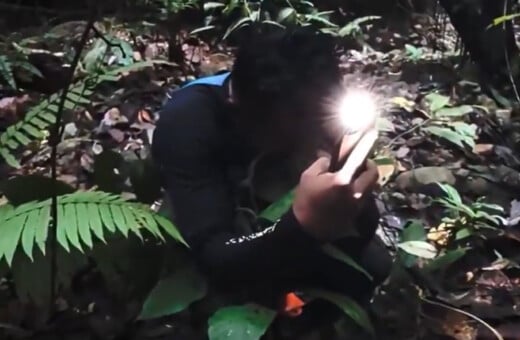 ΣΚ - Η συγκινητική στιγμή που ερευνητής ανακαλύπτει σπάνιο λουλούδι μετά από 13 χρόνια αναζήτησης