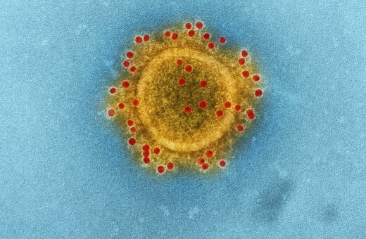 ΓΡΙΠΗ ΠΤΗΝΩΝ COVID