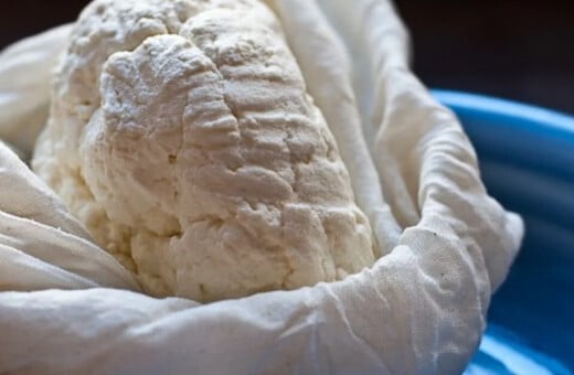 ΕΦΕΤ: Ανάκληση παρτίδας νωπής μυζήθρας λόγω ανίχνευσης σταφυλοκοκκικών εντεροτοξινών