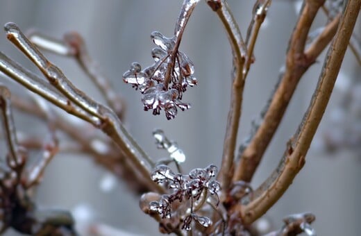 ΚΑΙΡΟΣ ΘΕΟΔΩΡΟΣ ΚΟΛΥΔΑΣ ΧΕΙΜΩΝΑΣ