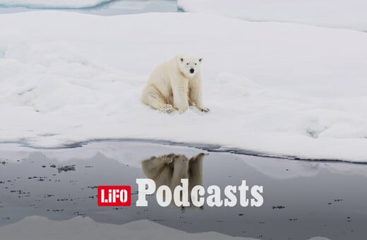 Περνάνε οι COP, αλλά οι πάγοι συνεχίζουν να λιώνουν