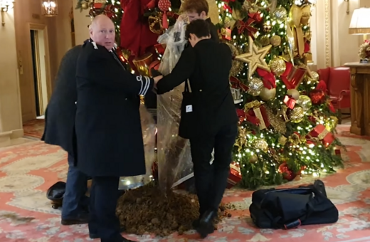 Λονδίνο: Ακτιβιστές πέταξαν κοπριά αλόγου στο χριστουγεννιάτικο δέντρο του Ritz 