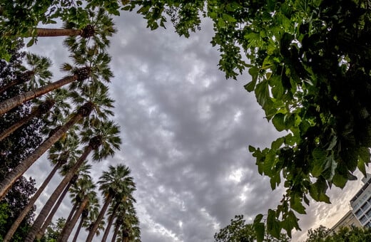 Κακοκαιρία Byron: Κλειστός ο Εθνικός Κήπος - Πότε εξασθενούν τα έντονα φαινόμενα στην Αττική 