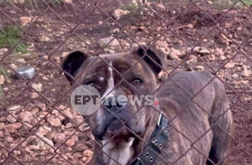 ΝΕΚΡΟ ΠΑΙΔΙ ΖΑΚΥΝΘΟΣ