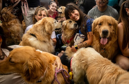 Μπουένος Άιρες: Ρεκόρ γκίνες διεκδικούν χιλιάδες golden retriever 