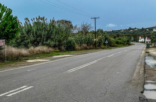 ΦΟΙΝΙΚΟΥΝΤΑ ΔΟΛΟΦΟΝΙΑ ΚΑΜΠΙΝΓΚ