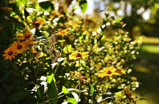 ΚΑΙΡΟΣ ΣΑΒΒΑΤΟΚΥΡΙΑΚΟ