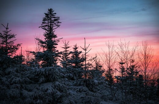 ΜΑΡΟΥΣΑΚΗΣ ΚΑΙΡΟΣ ΣΗΜΕΡΑ ΧΡΙΣΤΟΥΓΕΝΝΑ ΚΑΚΟΚΑΙΡΙΑ