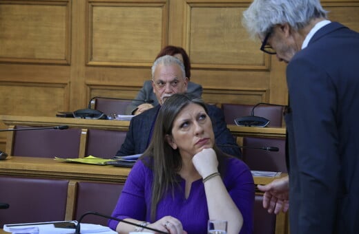 ΖΩΗ ΚΩΝΣΤΑΝΤΟΠΟΥΛΟΥ ΑΣΤΥΝΟΜΙΑ ΦΡΑΠΕΣ ΓΙΩΡΓΟΣ ΞΥΛΟΥΡΗΣ ΕΞΕΤΑΣΤΙΚΗ ΕΠΙΤΡΟΠΗ