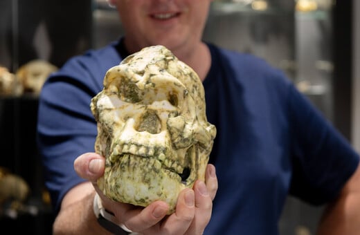 Απολίθωμα-ορόσημο ενδέχεται να ανήκει σε άγνωστο πρόγονο του ανθρώπου