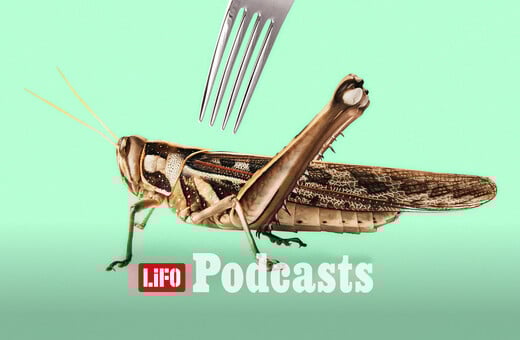 «Η εντομοφαγία μπαίνει σταδιακά στη διατροφή μας»