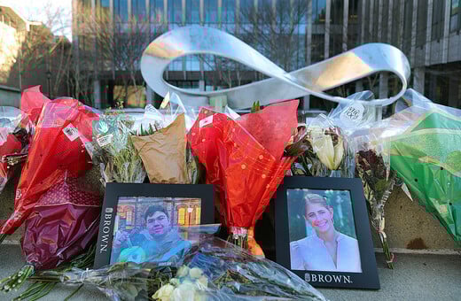 BROWN ΕΝΟΠΛΗ ΕΠΙΘΕΣΗ ΥΠΟΠΤΟΣ