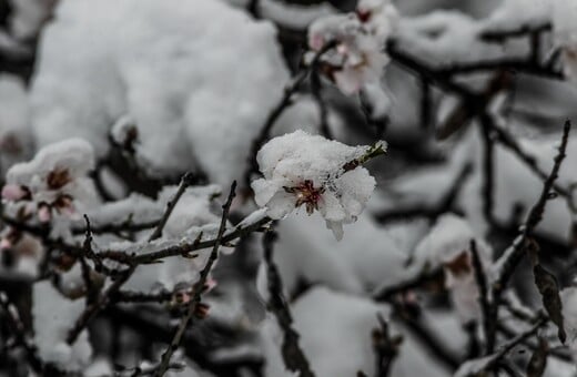 ΚΑΙΡΟΣ ΧΡΙΣΤΟΥΓΕΝΝΑ ΠΡΩΤΟΧΡΟΝΙΑ ΚΑΚΟΚΑΙΡΙΑ ΧΙΟΝΙΑ