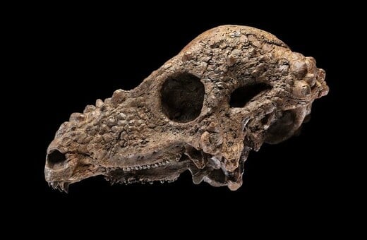 ΔΕΙΝΟΣΑΥΡΟΣ ΟΥΑΣΙΝΓΚΤΟΝ