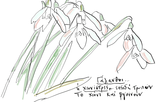 Aυτά είναι τα Χριστούγεννα; Τότε δεν ανήκω εδώ.