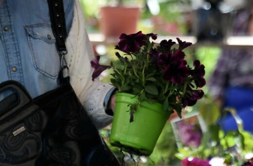 Λαϊκές αγορές: Το εορταστικό ωράριο